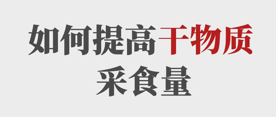 做到這5點提高育肥牛的干物質采食量！
